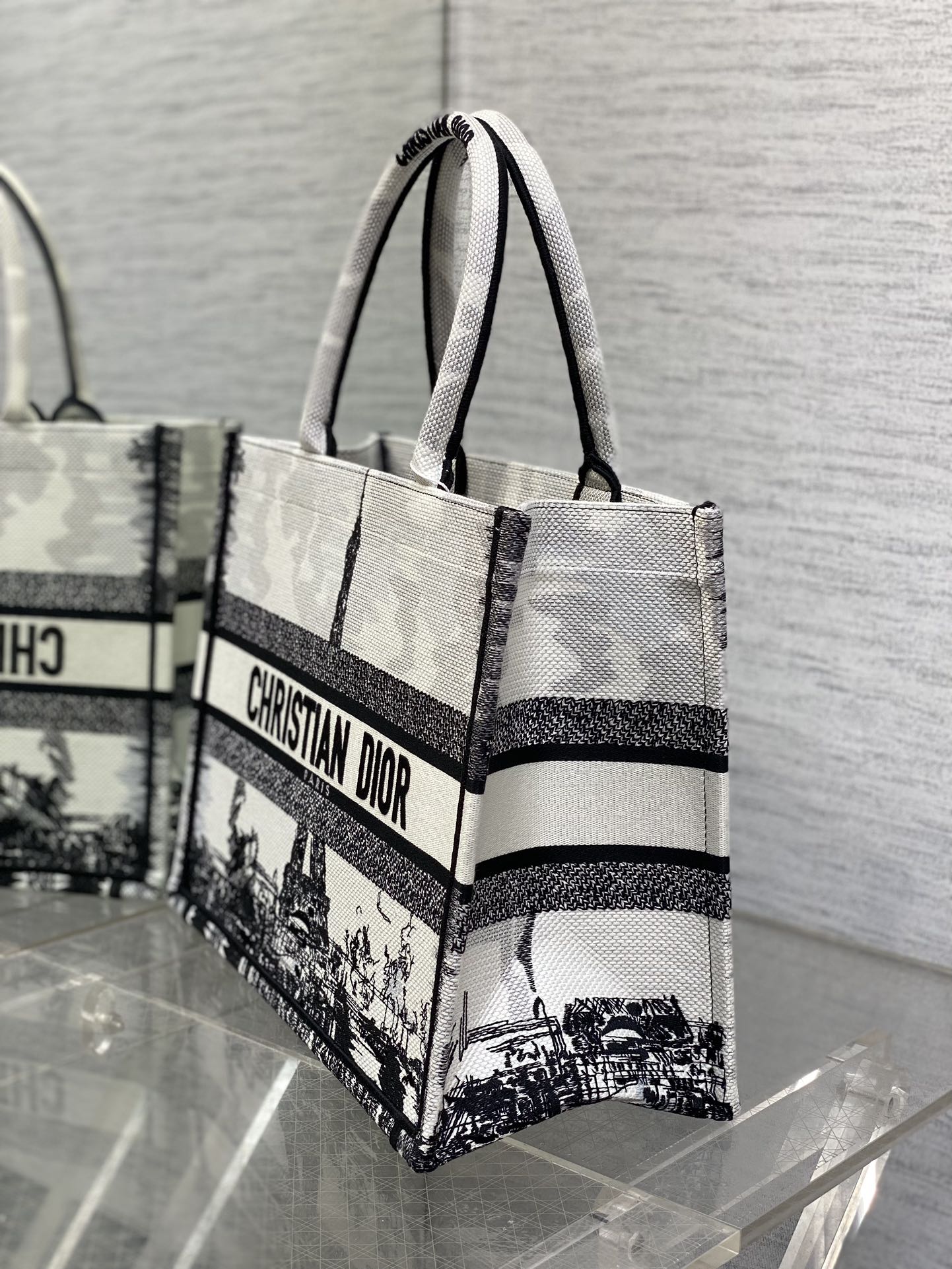 Medium Dior Book Tote Bag White and Black Paris Embroidery